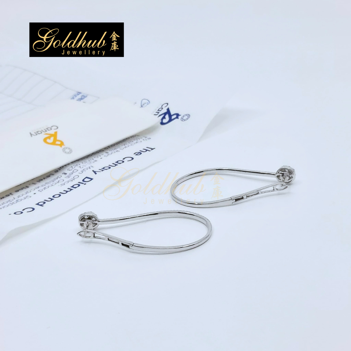 Diamonds Earrings in White Gold